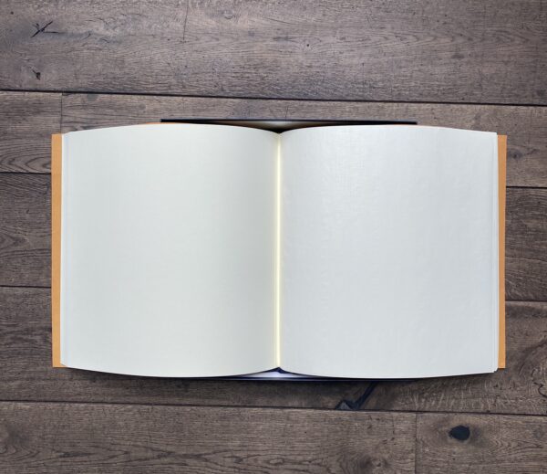 GIO BAGNARA, Fotobuch Rabitti 1969, Large Yellow – Bild 2