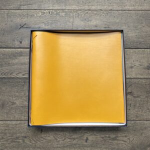 GIO BAGNARA, Fotobuch Rabitti 1969, Large Yellow