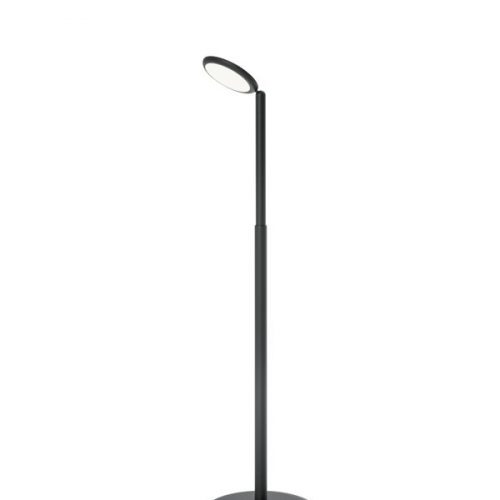 tobias-grau-parrot-black-36498-793